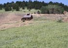 canon-pictures 422
